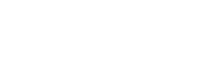 Larisa Realtech