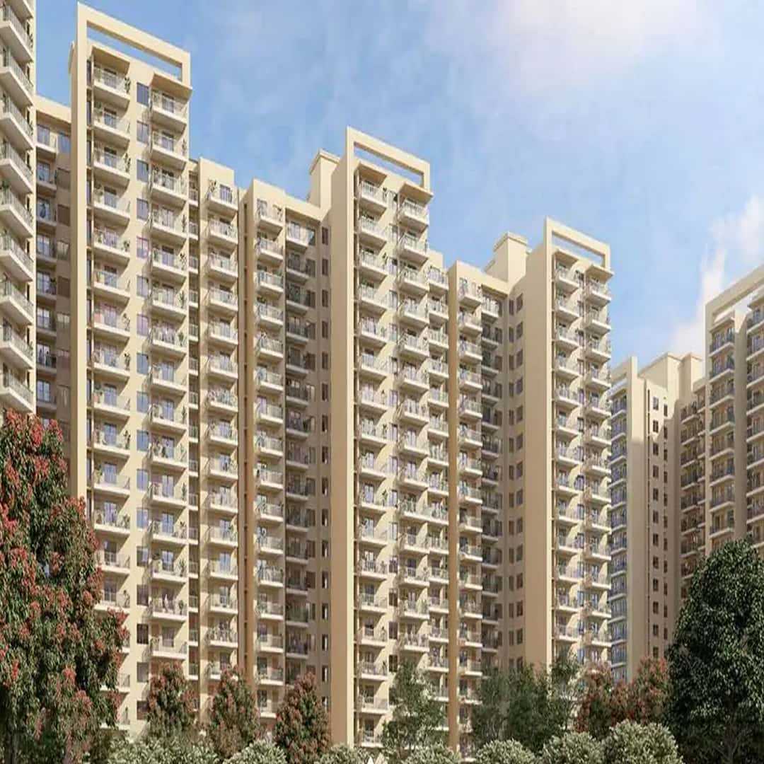 About Rising Homes