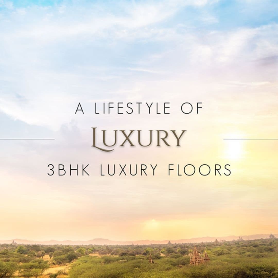 Trehan Floors Sector 2 Sohna