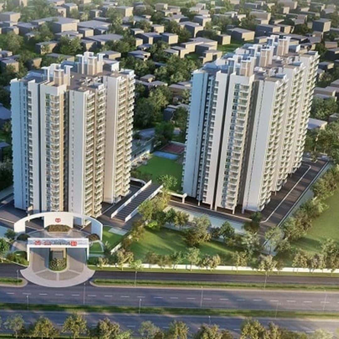GLS Avenue 81