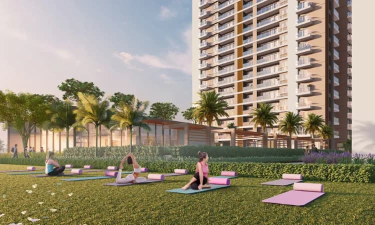 Mulberry Moments Sohna Road