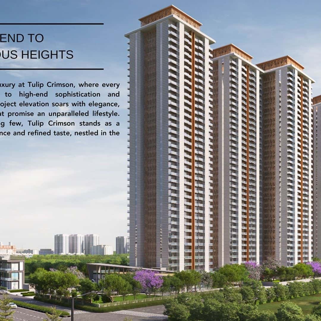 Tulip Crimson Gurgaon