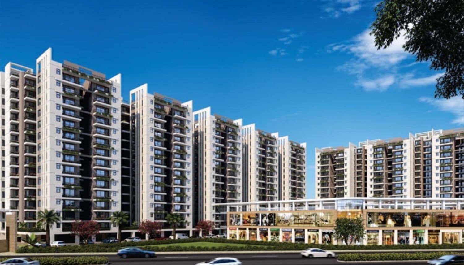 HCBS Auroville Banner