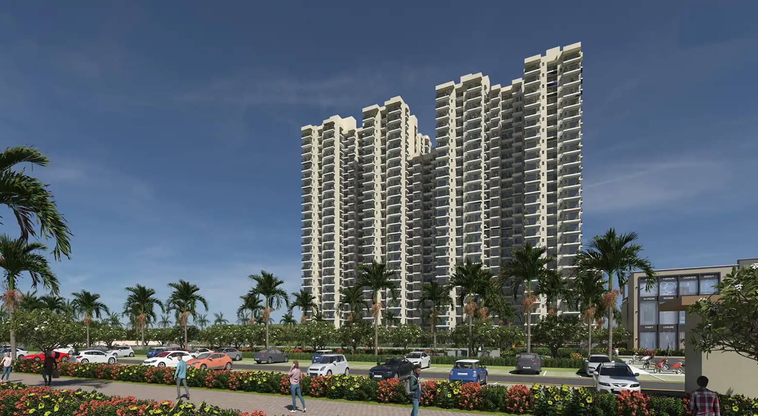 4S Aster Avenue 36 banner