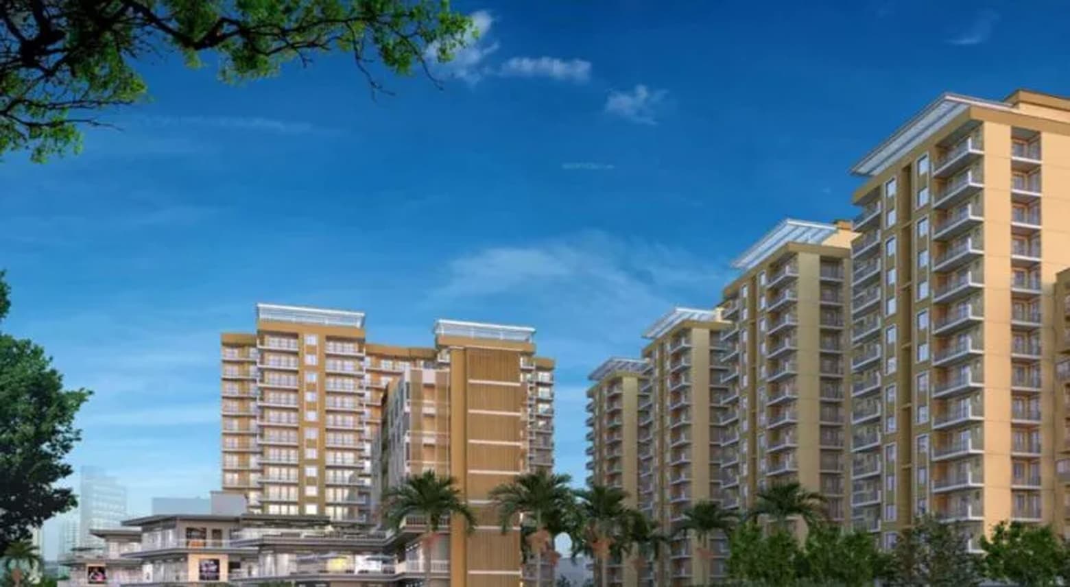 Yashika Green Square banner