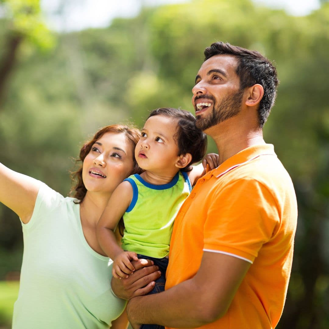 JMS Silver Living Sector 95