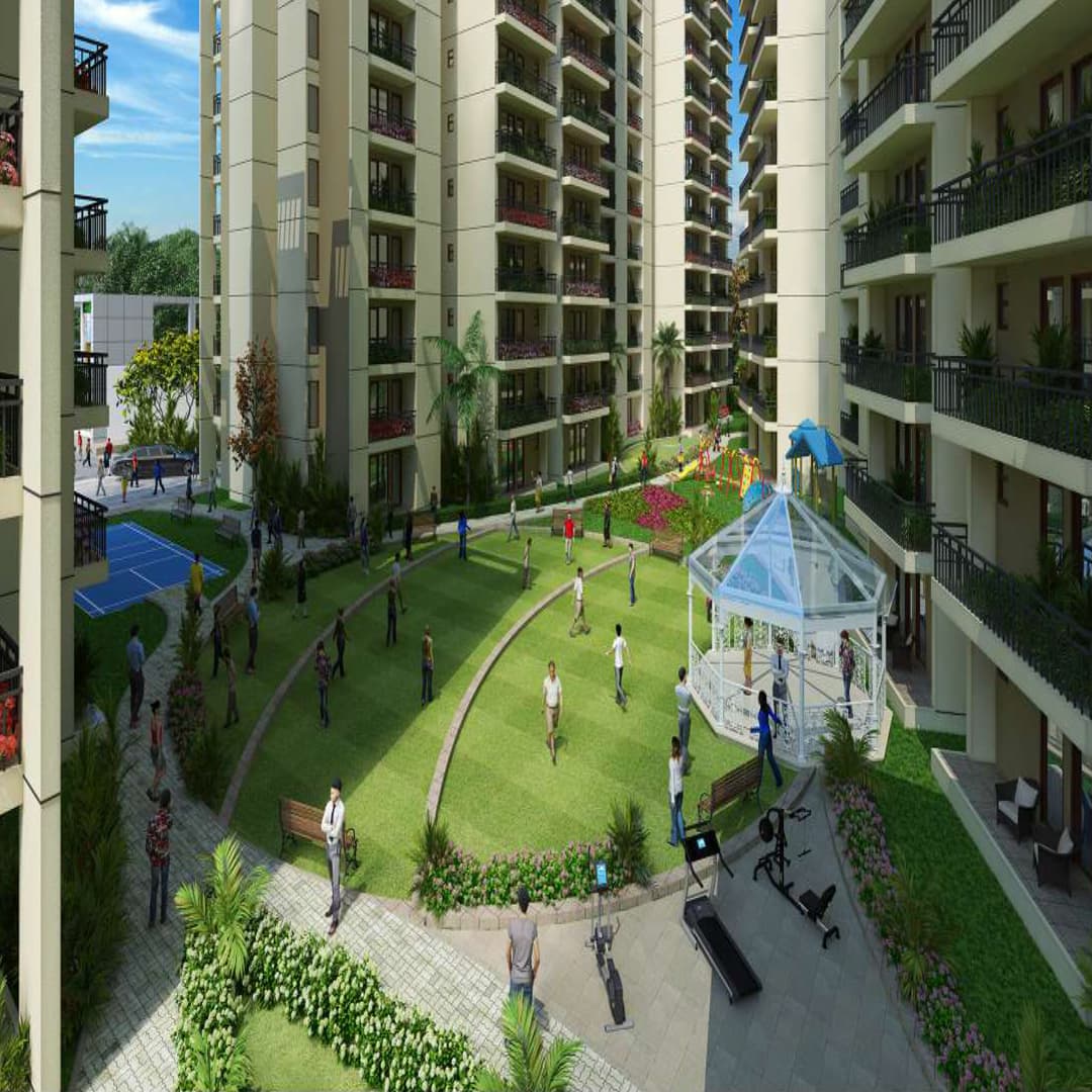 RoF Amaltas Specifications