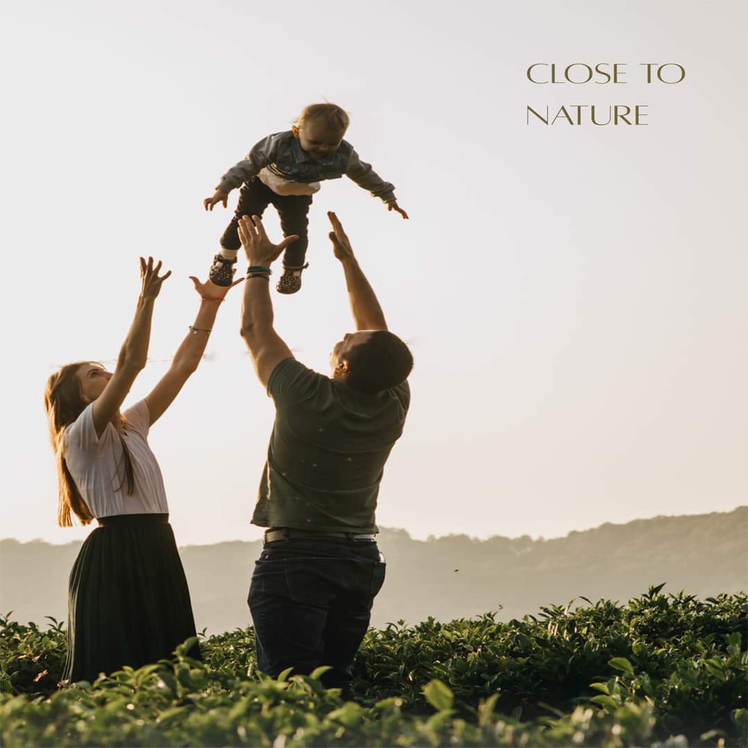 VET City Payment Plan