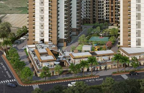 Conscient Prime Corner Shop