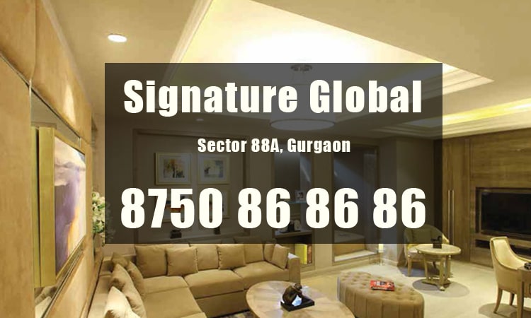 signature global 88a