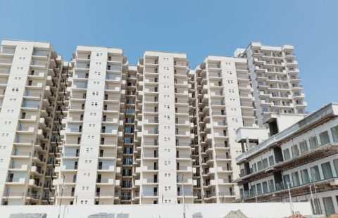 Signature Global Roselia