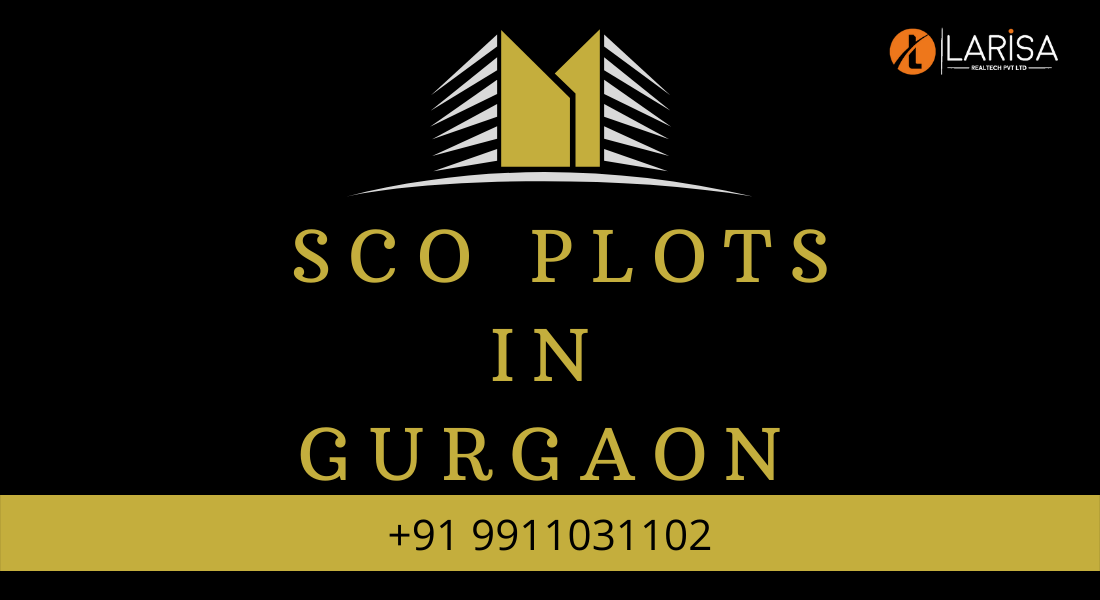 sco plots in gurgaon