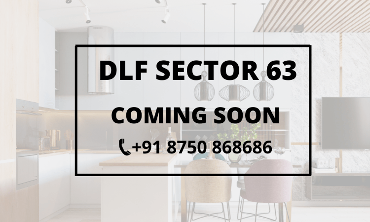 DLF sector 63