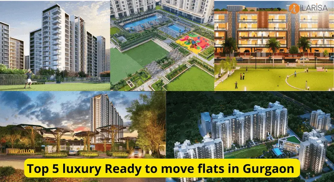 Luxury Ready to move flats in Gurgaon.