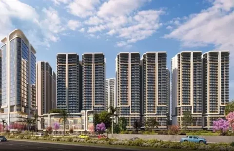 Smart World One DXP 113