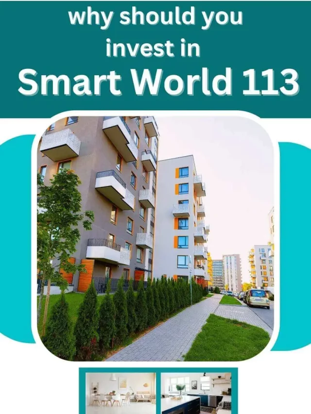 Why should you invest in Smart World 113?