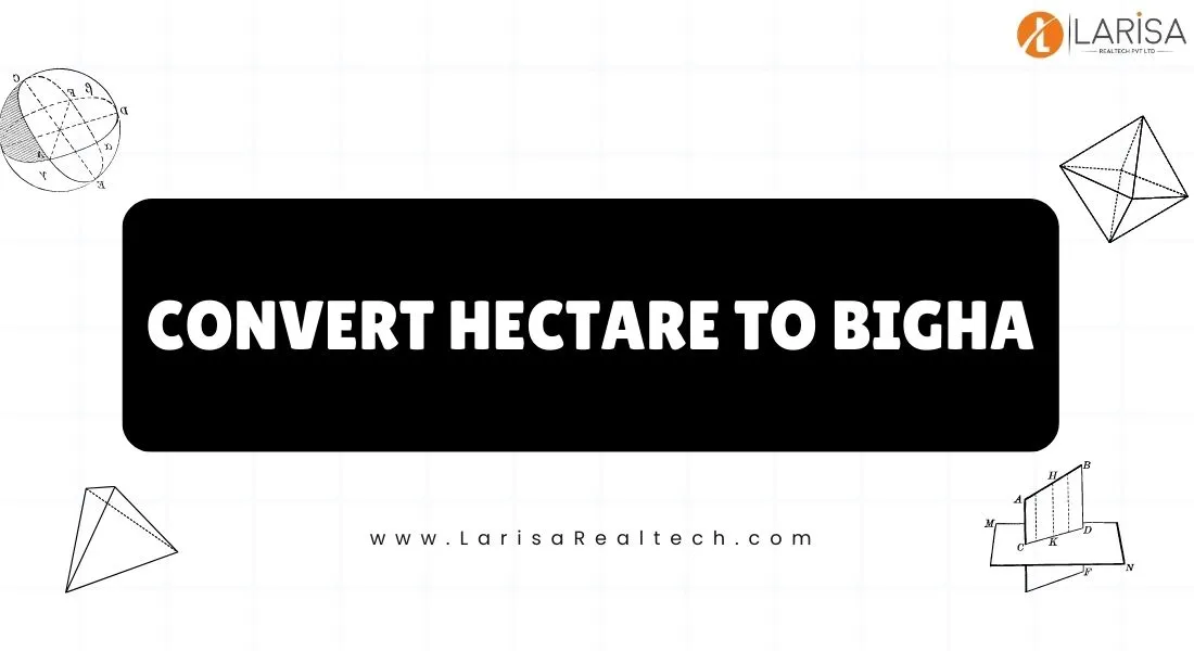 hectare-to-bigha