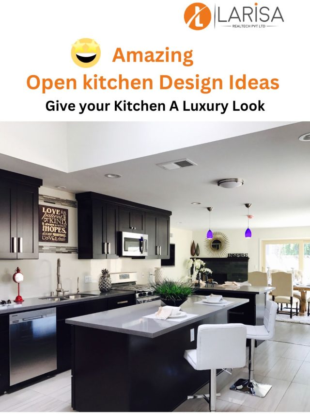 Top 10 Open kitchen Design Ideas - Larisa Realtech