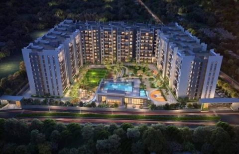 Adore The Select Premia