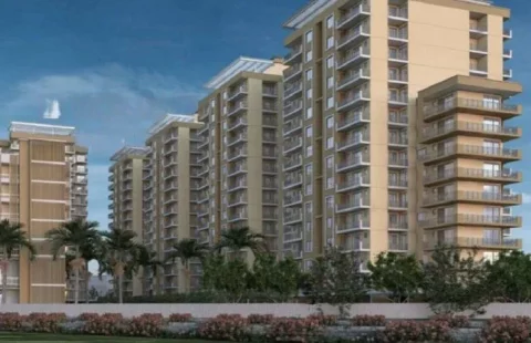 Yashika Green Square